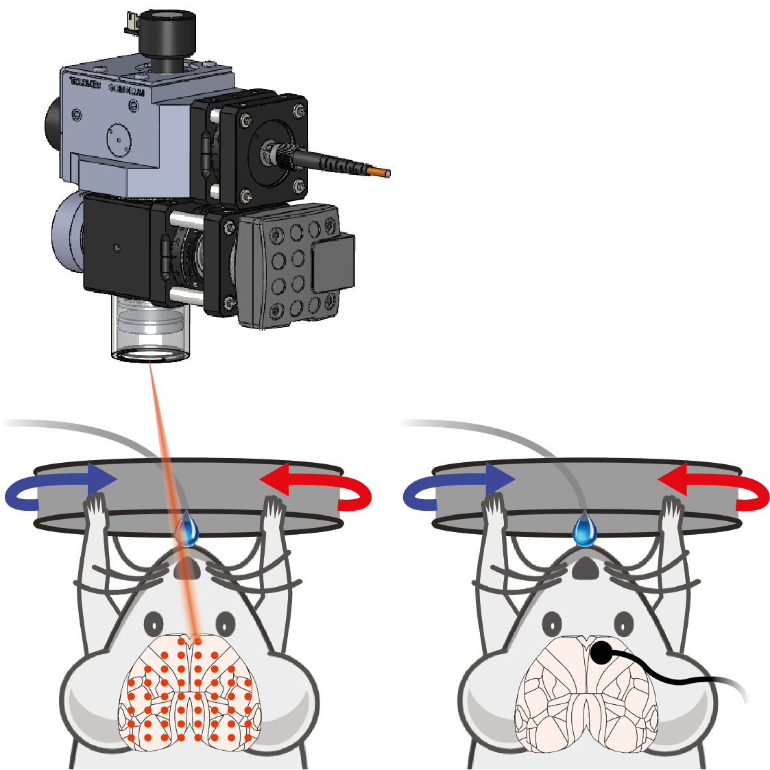 Optogenetics